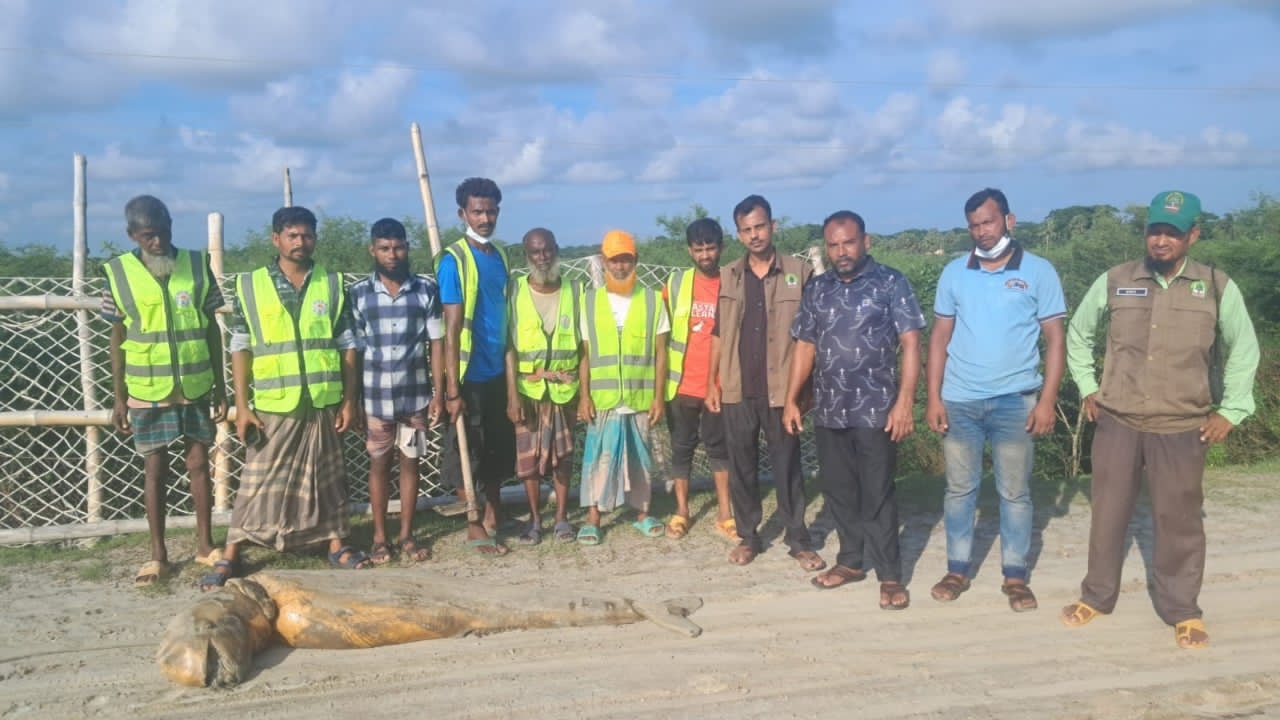 কুয়াকাটা সৈকতে আবারও ভেসে এলো মৃত ডলফিন